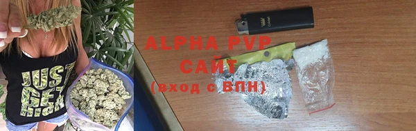 стафф Осташков