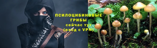 МДПВ Пересвет