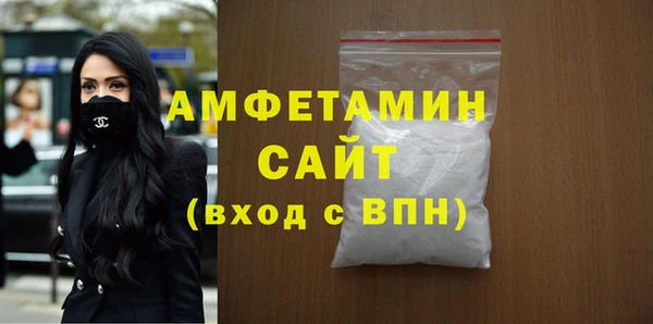 МДПВ Пересвет