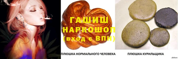 МДПВ Пересвет