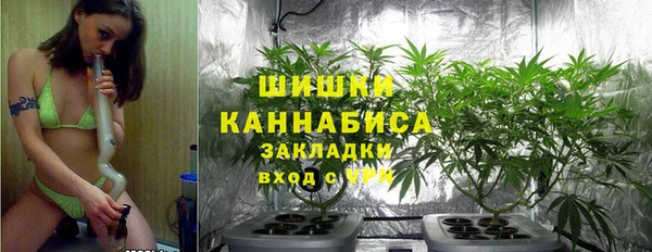 МДПВ Пересвет
