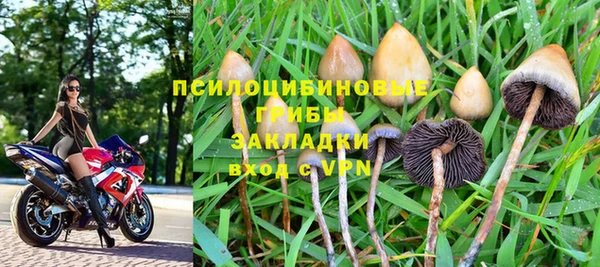 первитин Осинники