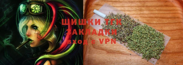 стафф Осташков