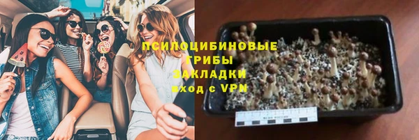 стафф Осташков