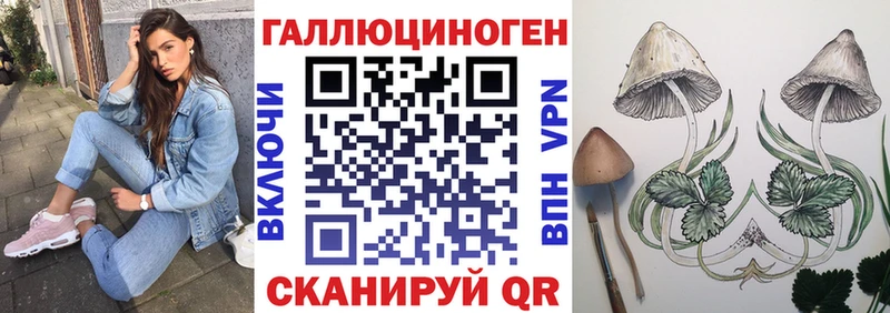 Псилоцибиновые грибы ЛСД  OMG рабочий сайт  Щёлково 